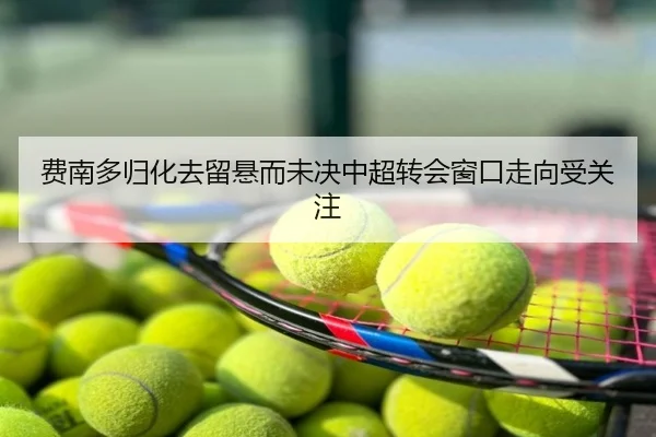 费南多归化去留悬而未决中超转会窗口走向受关注