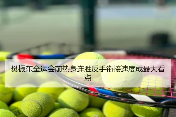 樊振东全运会前热身连胜反手衔接速度成最大看点