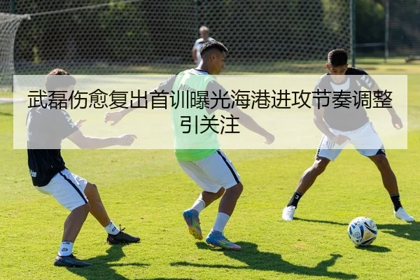 武磊伤愈复出首训曝光海港进攻节奏调整引关注